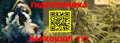 ALPHA PVP Гусев