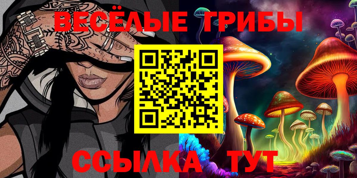 Галлюциногенные грибы Psilocybine cubensis  Галлюциногенные грибы Psilocybe  Нерюнгри  Вход с VPN 