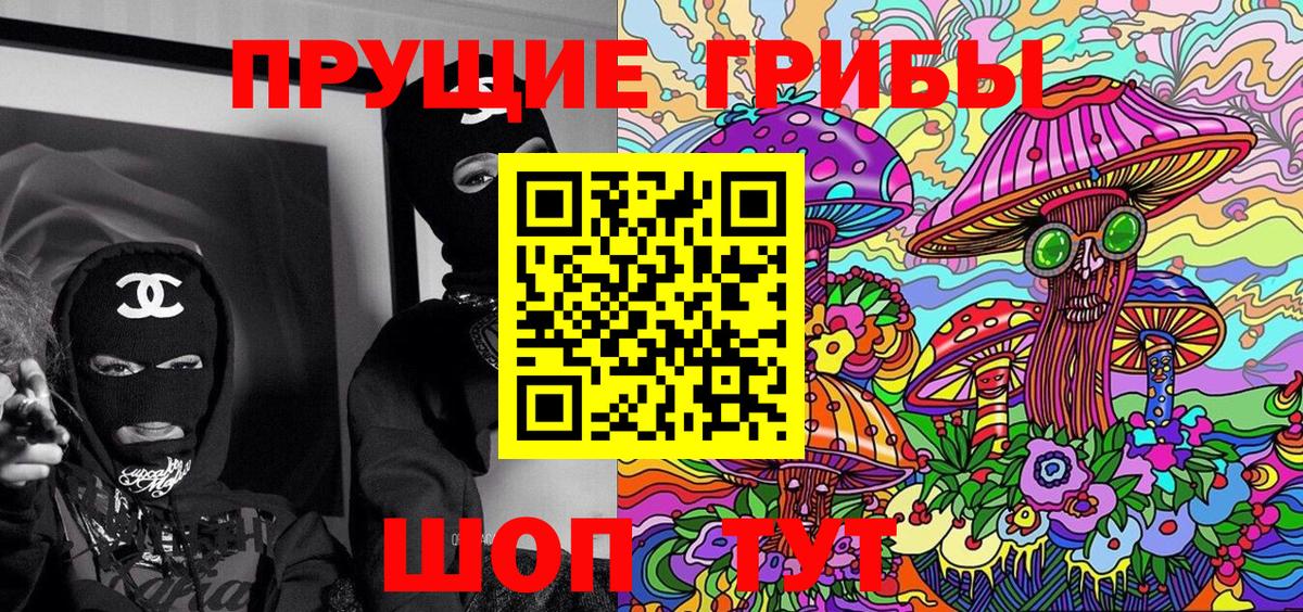 Псилоцибиновые грибы Psilocybe Нерюнгри